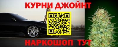 тгк Новозыбков