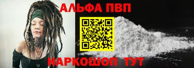 тгк Новозыбков